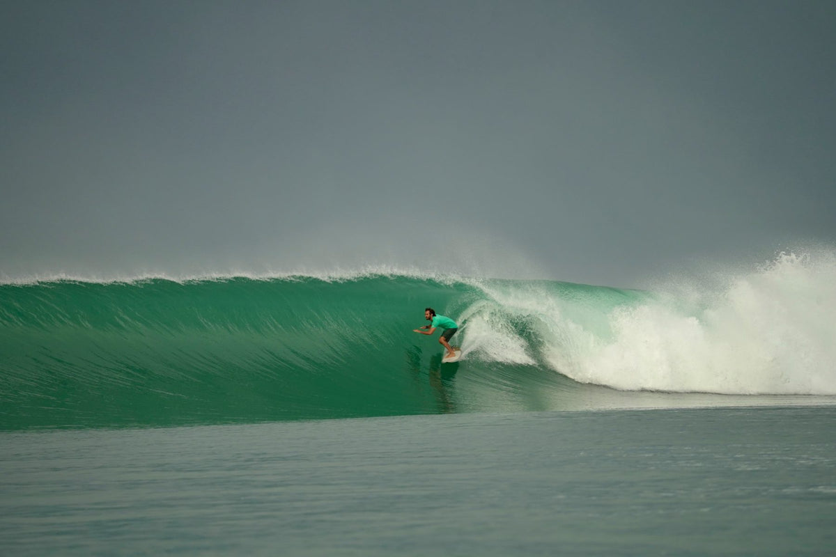 Earplugs for surfing